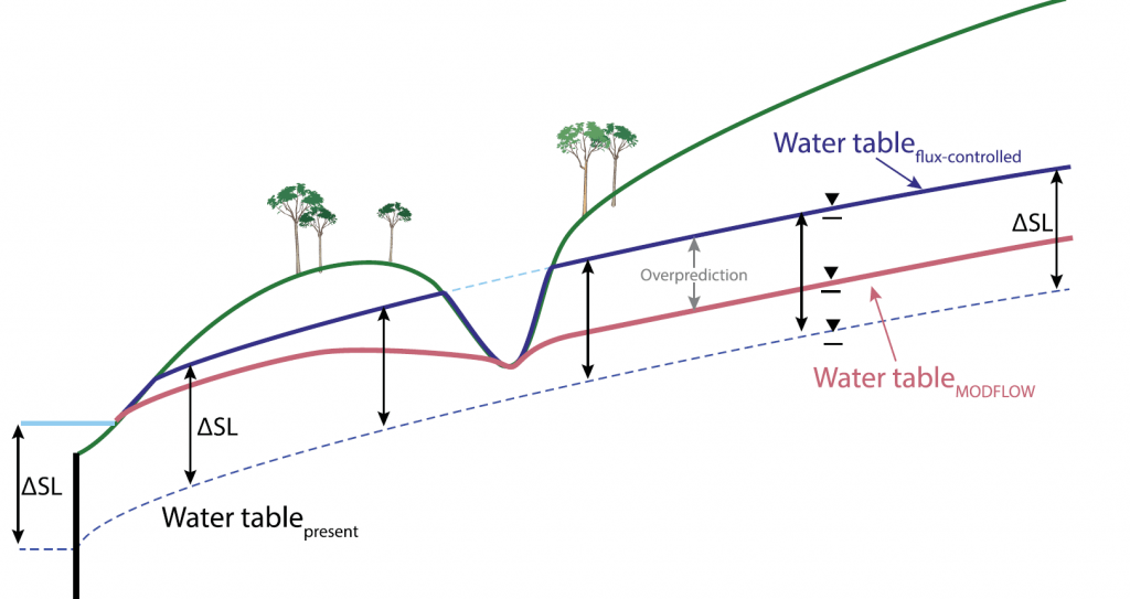 Cartoon showing how a water table rises with sea-level rise.